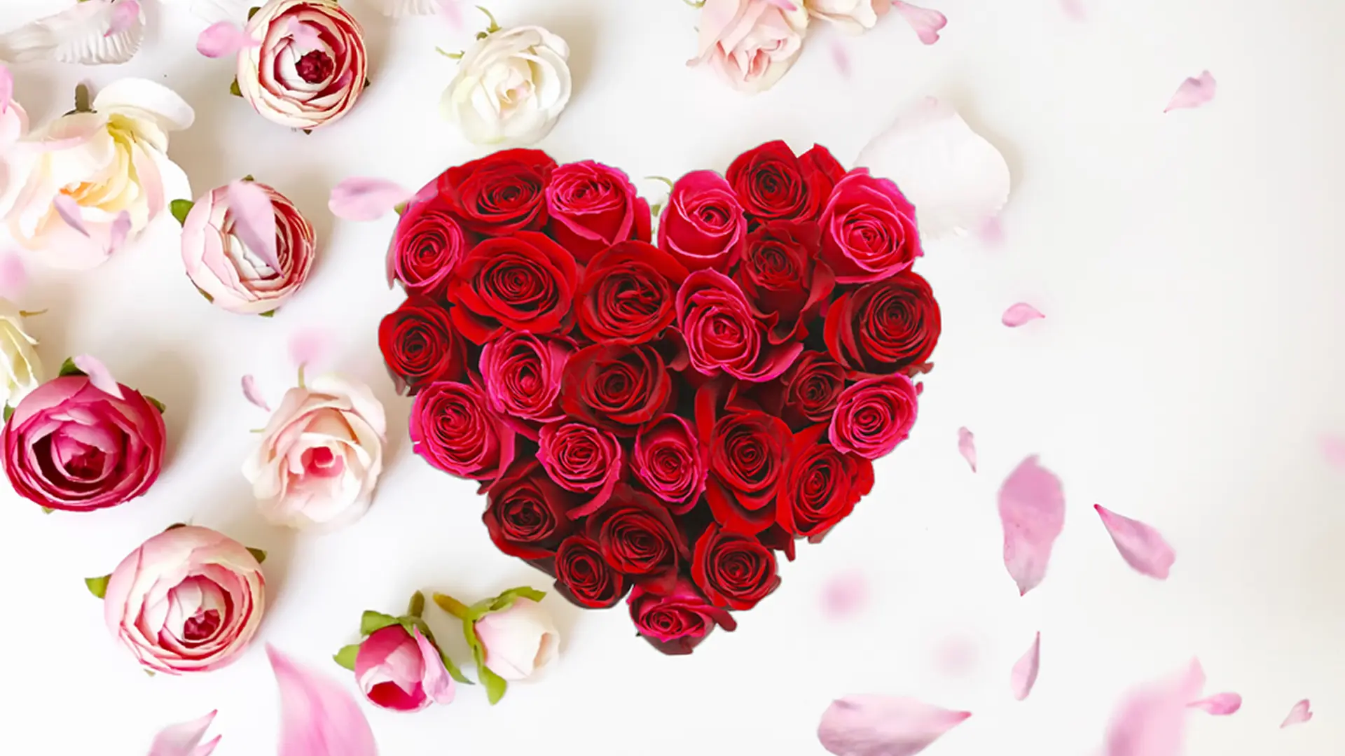 cuori
