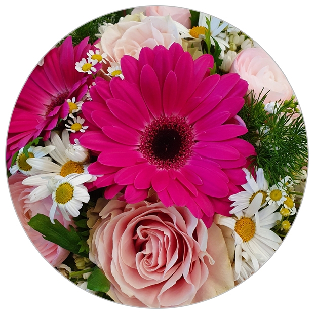 Bouquet 7 energico incorntro