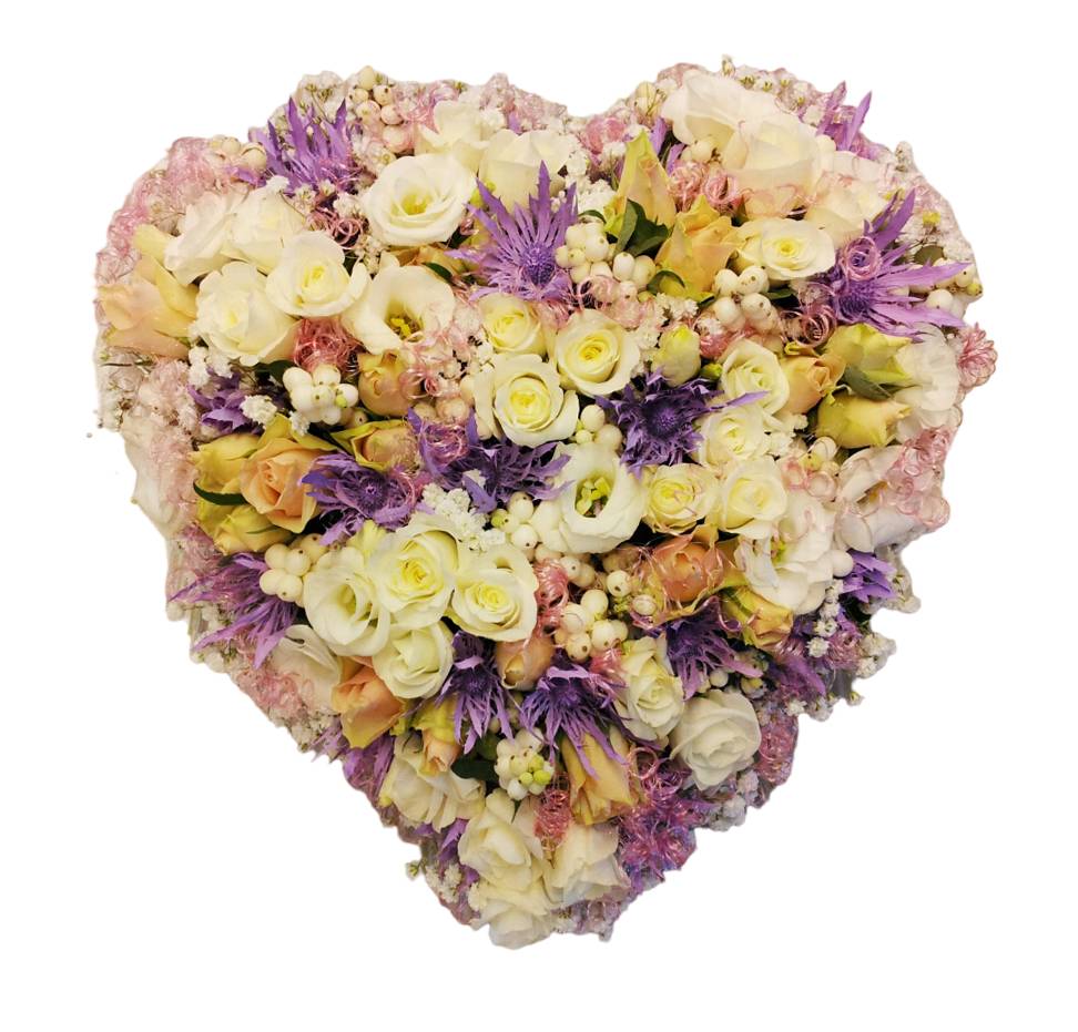 Cuore SFUMATURE