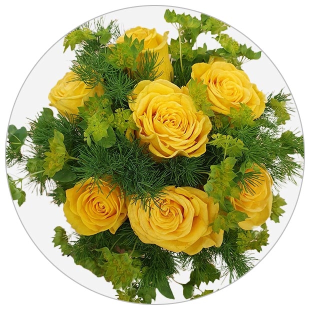 Bouquet 3 sole